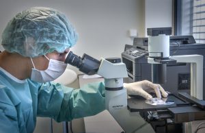 Kmenové buňky, regenerativní buňky, dendritické buňky, krevní plasma a krevní destičky jsou hlavním předmětem výzkumu společnosti Cellthera.